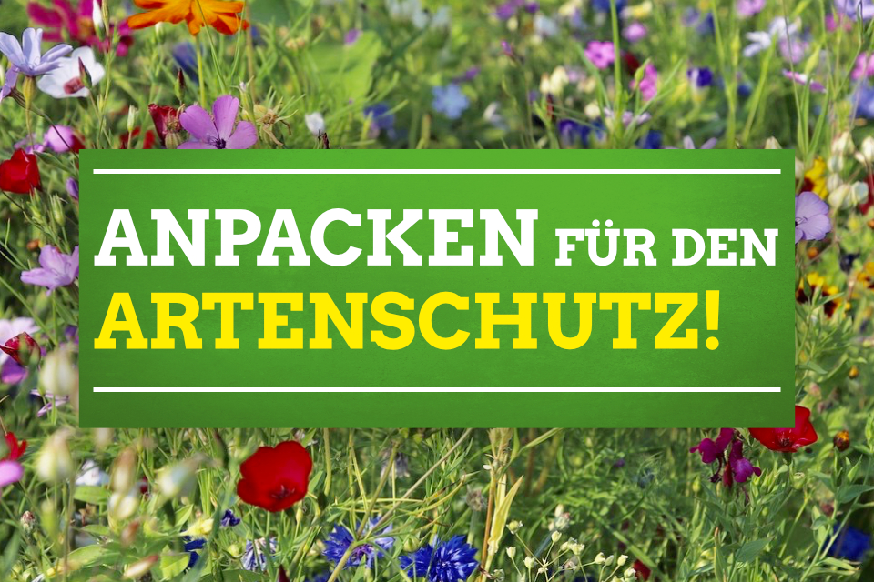 Anpacken für den Artenschutz