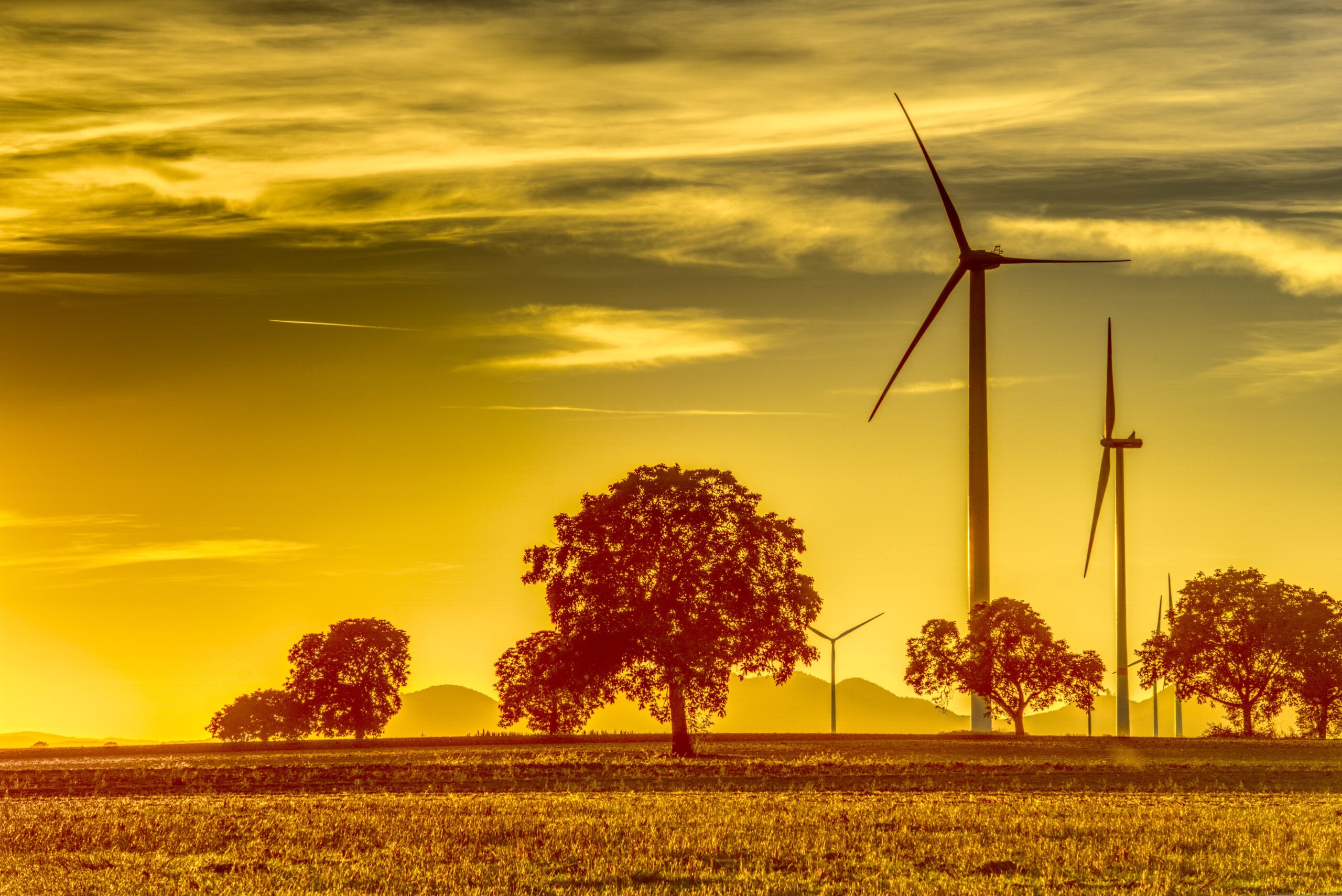 Windräder auf offener Fläche im Sonnenuntergang mit Bäumen