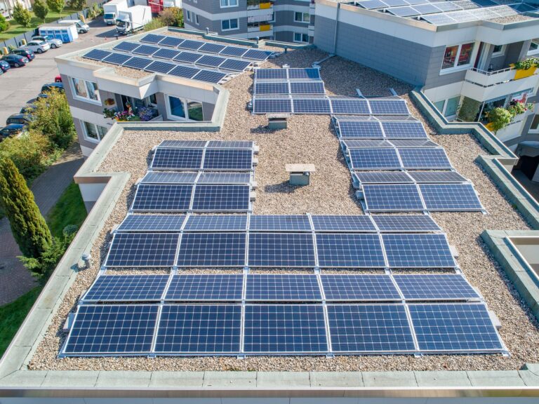 Ausbau von Solarenergie kommt im Rhein-Pfalz-Kreis voran